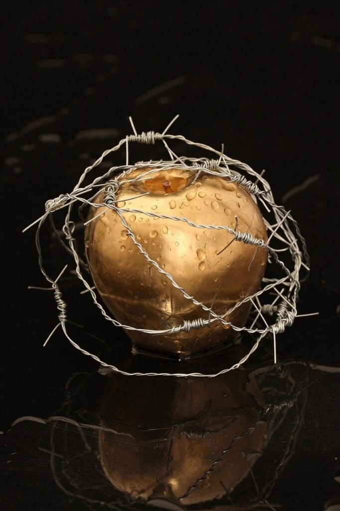 gold-colored round shape surrounded by barbed wire on a black background.