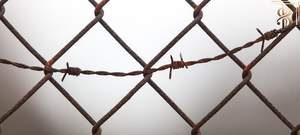 barbed wire on black and white mesh