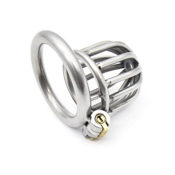 Jaula de Castidad Masculina SteelBird - Mini Castidad de Acero Inoxidable - Image 2