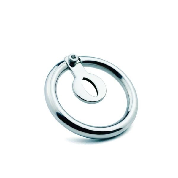 Jaula de Castidad Masculina FlatGuard - Dispositivo de Castidad Plano de Acero Inoxidable - Image 2