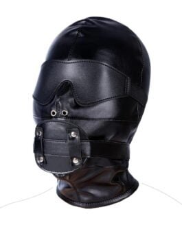 BDSM Mask front view with gag